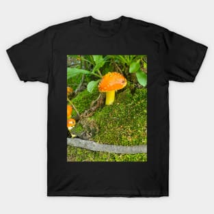 Amanita Village T-Shirt